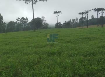 Imagem 1 · Fazenda