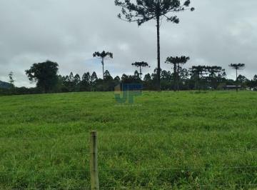 Imagem 1 · Fazenda