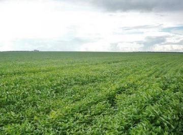 Imagem 1 · Fazenda