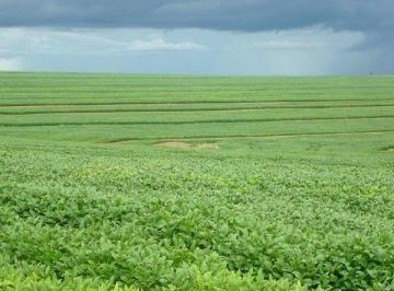Imagem 1 · Fazenda