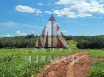 Imagem 1 · Fazenda