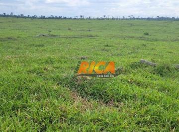 Imagem 1 · Fazenda