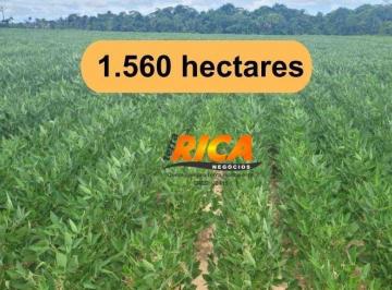 Imagem 1 · Fazenda