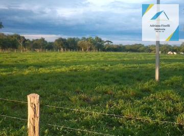 Imagem 1 · Fazenda