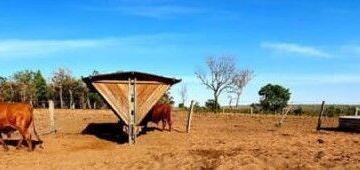 Imagem 1 · Fazenda