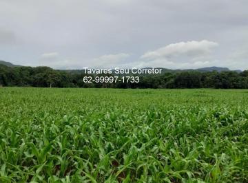 Imagem 1 · Fazenda