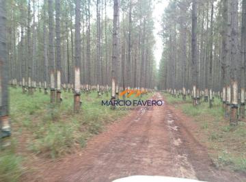 Imagem 1 · Fazenda