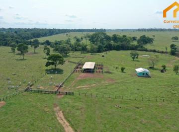 Imagem 1 · Fazenda