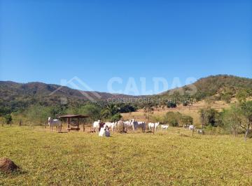 Imagem 1 · Fazenda
