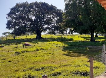 Imagem 1 · Fazenda