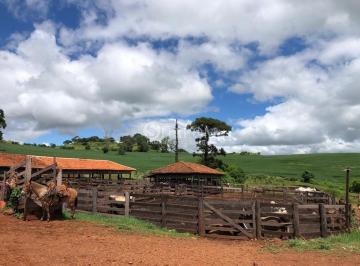 Imagem 1 · Fazenda