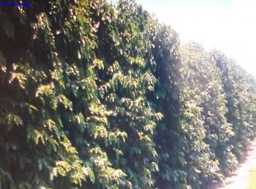 Imagem 1 · Fazenda