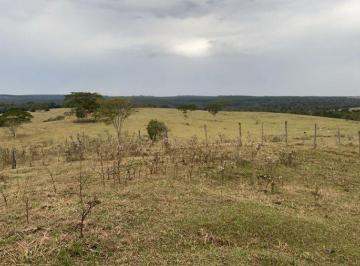 Imagem 1 · Fazenda