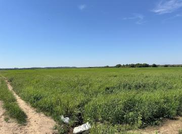 Imagem 1 · Fazenda para venda em Centro, Vale Verde