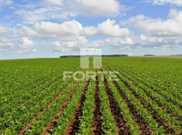 Imagem 1 · Fazenda