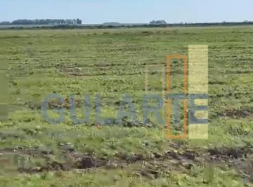 Imagem 1 · Fazenda