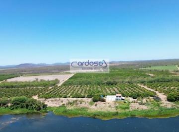 Imagem 1 · Fazenda