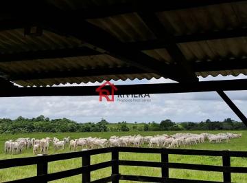 Imagem 1 · Fazenda