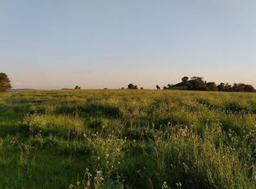 Imagem 1 · Fazenda