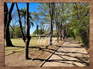 Imagem 1 · Fazenda