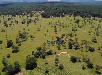Imagem 1 · Fazenda