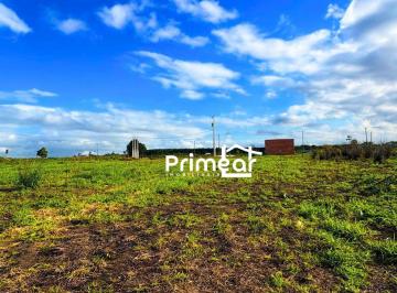 Imagem 1 · Chácara para venda em Área Rural de Linhares, Linhares