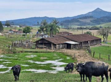 Imagem 1 · Fazenda