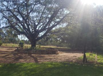 Imagem 1 · Fazenda