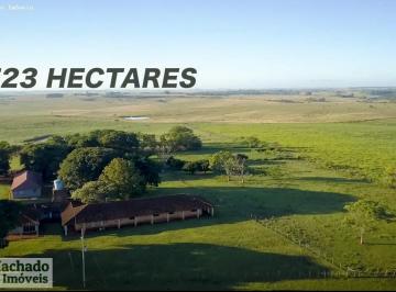 Imagem 1 · Fazenda