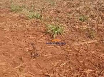 Imagem 1 · Fazenda