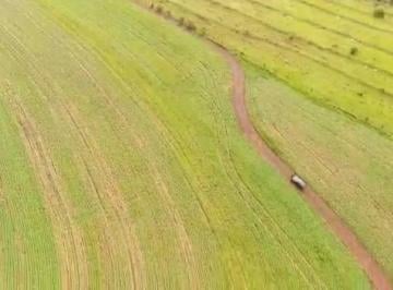 Imagem 1 · Fazenda
