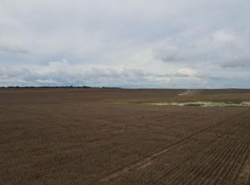 Imagem 1 · Fazenda