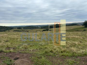Imagem 1 · Fazenda