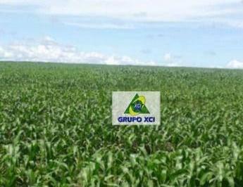 Imagem 1 · Fazenda