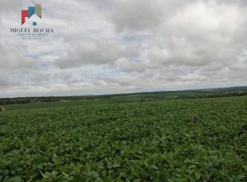 Imagem 1 · Fazenda