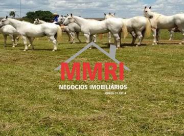 Imagem 1 · Fazenda