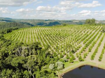 Imagem 1 · Fazenda