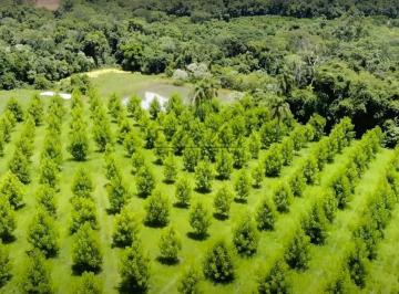 Imagem 1 · Fazenda