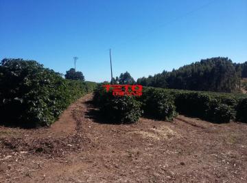 Imagem 1 · Fazenda