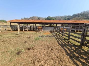 Imagem 1 · Fazenda
