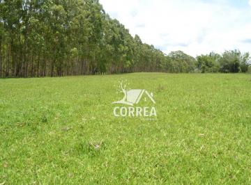 Imagem 1 · Fazenda
