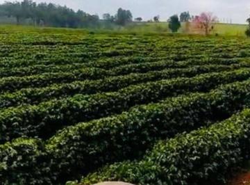 Imagem 1 · Fazenda