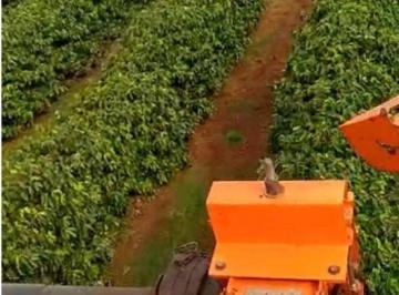 Imagem 1 · Fazenda
