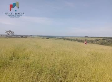 Imagem 1 · Fazenda