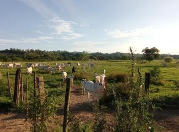 Imagem 1 · Fazenda para venda em Jardim São Dimas, São José dos Campos