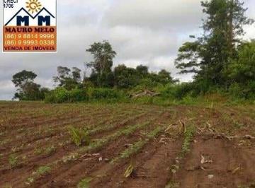 Imagem 1 · Fazenda