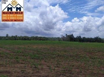 Imagem 1 · Fazenda