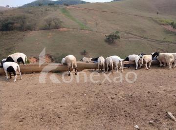 Imagem 1 · Fazenda