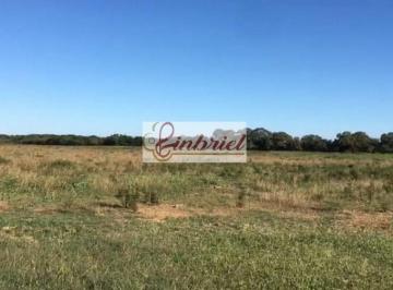 Imagem 1 · Fazenda