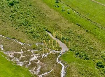 Imagem 1 · Fazenda